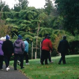 Central Division WDFF 1993-2011