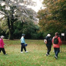 Central Division WDFF 1993-2011