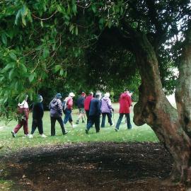 Central Division WDFF 1993-2011