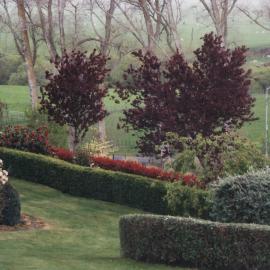 Central Division WDFF 1993-2011