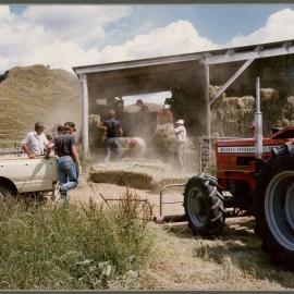 Haymaking 