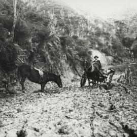 Road over the Pohokura Saddle