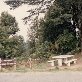 Awahou Scenic Reserve 