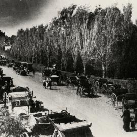 Ngaere Gardens in their heyday, 1920s. 