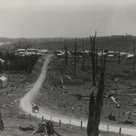 Toko township, from Toko Road, 1905.