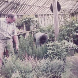 Ron Bray, Celia St gardens 