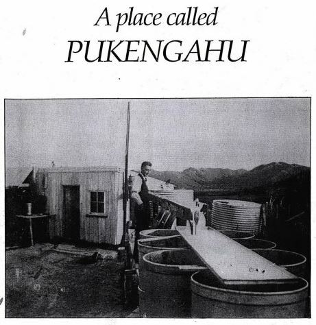A Place Called Pukengahu